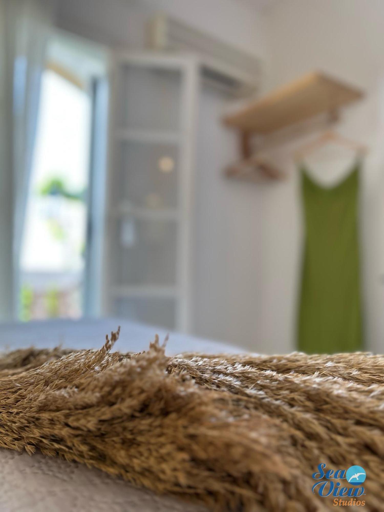 Sea View Apartments&Studios Agia Anna  Habitación foto